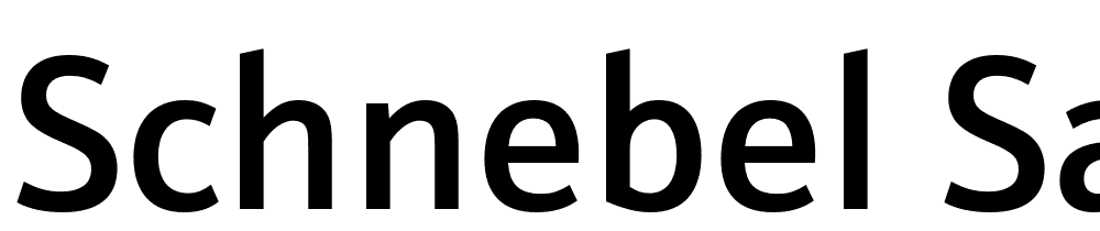 Schnebel-Sans-ME-Medium font family download free