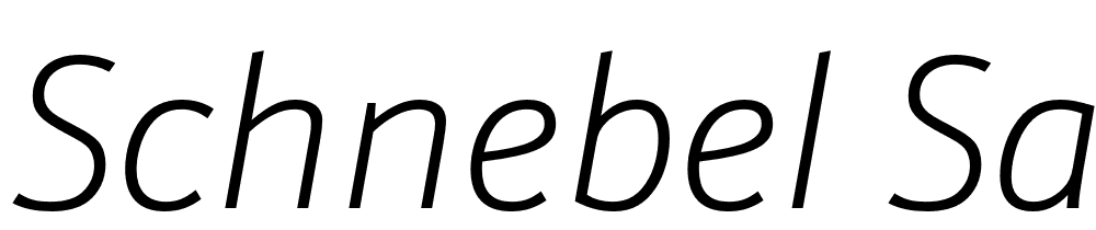Schnebel-Sans-ME-Thin-Italic font family download free