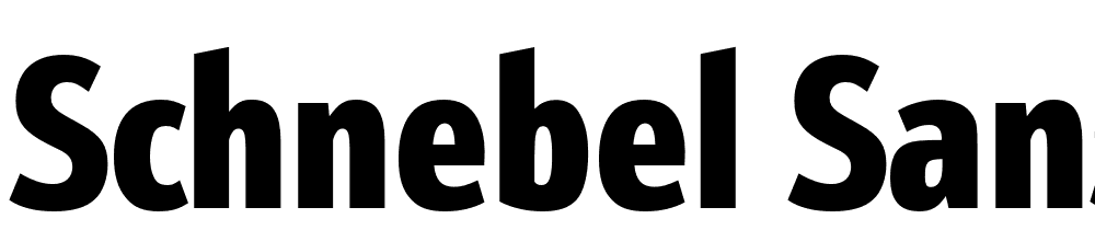 Schnebel-Sans-Pro-Comp-Black font family download free