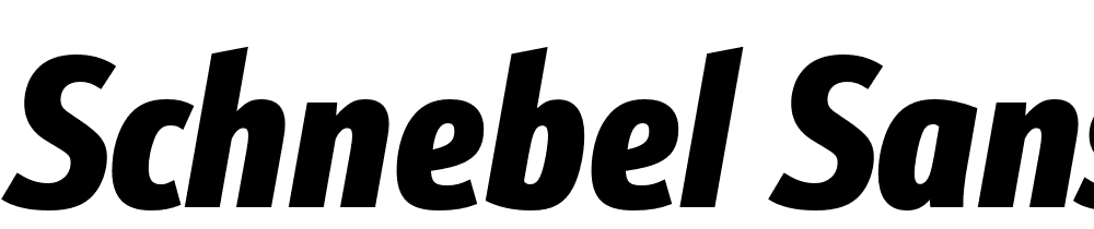 Schnebel-Sans-Pro-Comp-Black-Italic font family download free