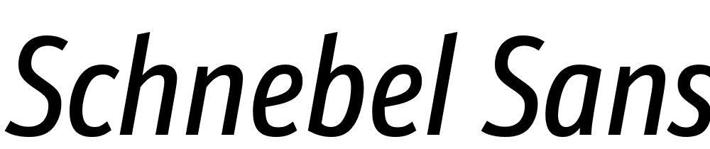 Schnebel-Sans-Pro-Comp-Italic font family download free