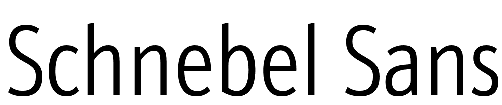 Schnebel-Sans-Pro-Comp-Light font family download free
