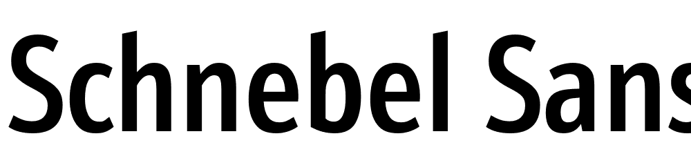 Schnebel-Sans-Pro-Comp-Medium font family download free