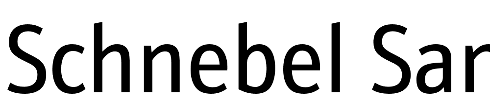 Schnebel-Sans-Pro-Cond font family download free
