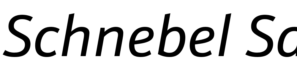 Schnebel-Sans-Pro-Italic font family download free