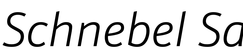 Schnebel-Sans-Pro-Light-Italic font family download free