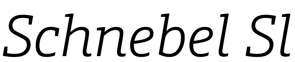 Schnebel Slab Pro font family download free