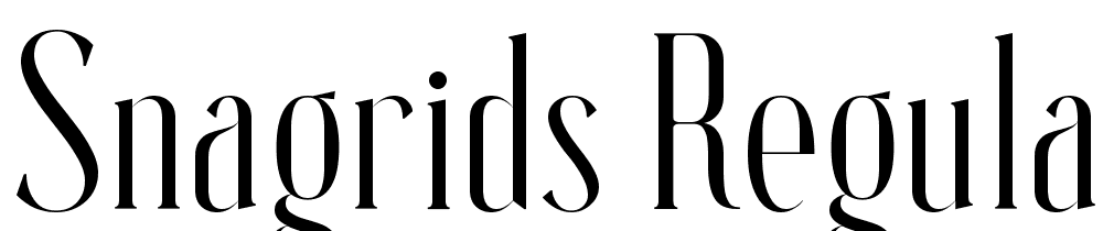 Snagrids-Regular font family download free