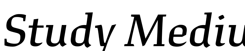 Study-Medium-Italic font family download free