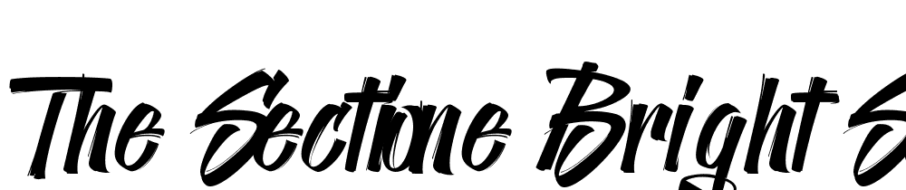 The Sectione Bright Script font family download free