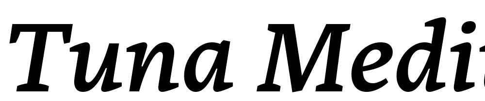 Tuna-Medium-Italic font family download free