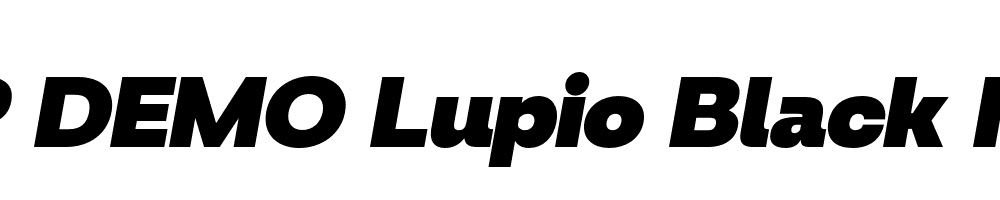 FSP DEMO Lupio Black Italic