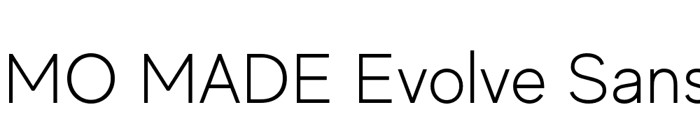 FSP DEMO MADE Evolve Sans Regular