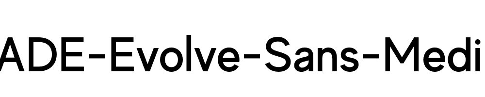 MADE-Evolve-Sans-Medium