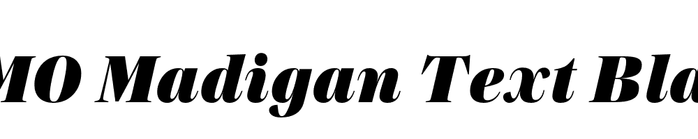 FSP DEMO Madigan Text Black Italic