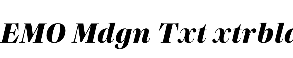 FSP DEMO Mdgn Txt xtrbld Italic