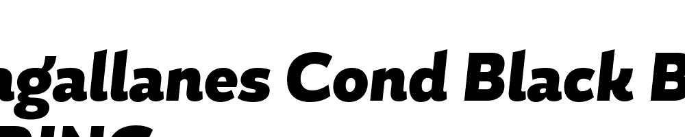  DEMO Magallanes Cond Black Black Italic