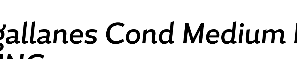  DEMO Magallanes Cond Medium Medium Italic