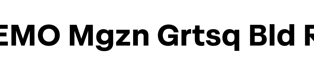 FSP DEMO Mgzn Grtsq Bld Regular