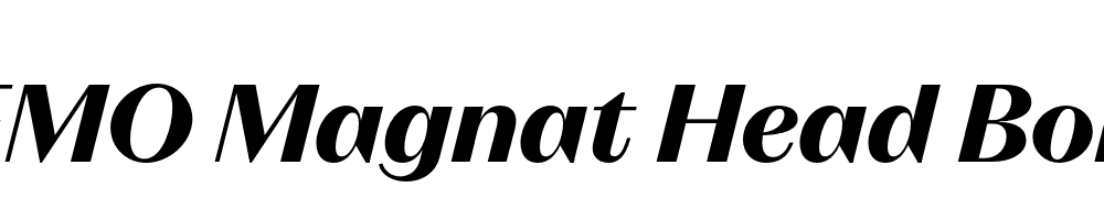 FSP DEMO Magnat Head Bold Italic