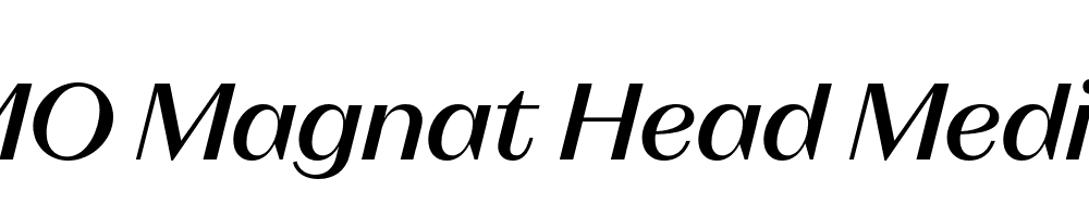 FSP DEMO Magnat Head Medium Italic