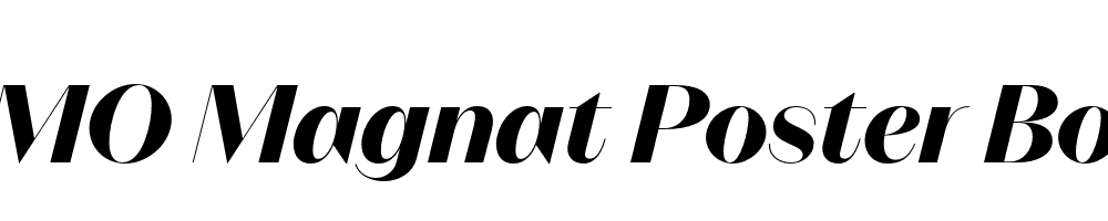 FSP DEMO Magnat Poster Bold Italic