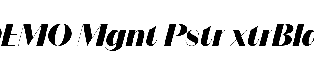 FSP DEMO Mgnt Pstr xtrBld Italic