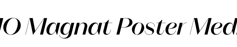 FSP DEMO Magnat Poster Medium Italic