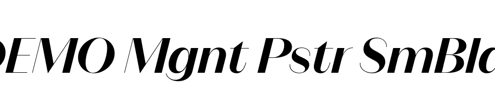 FSP DEMO Mgnt Pstr SmBld Italic