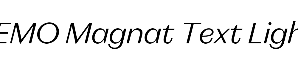 FSP DEMO Magnat Text Light Italic