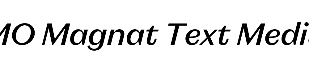 FSP DEMO Magnat Text Medium Italic