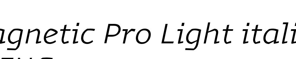  DEMO Magnetic Pro Light italic Regular