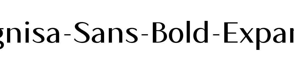 Magnisa-Sans-Bold-Expanded