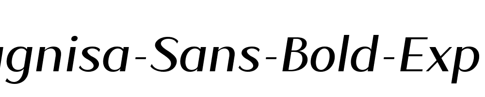 Magnisa-Sans-Bold-Exp-Ita