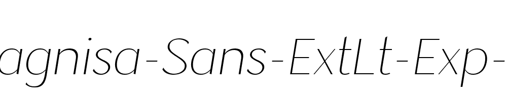 Magnisa-Sans-ExtLt-Exp-Ita