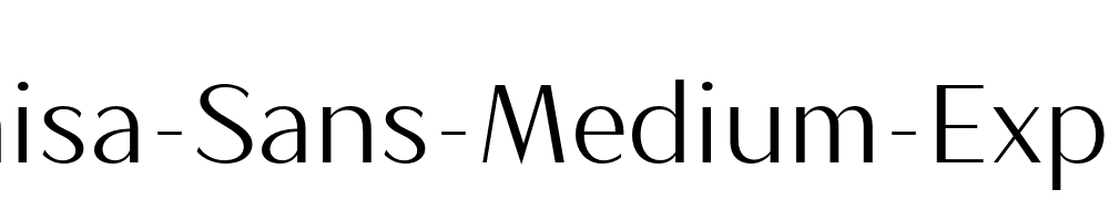 Magnisa-Sans-Medium-Expanded