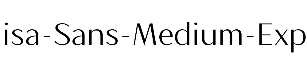 Magnisa-Sans-Medium-Expanded