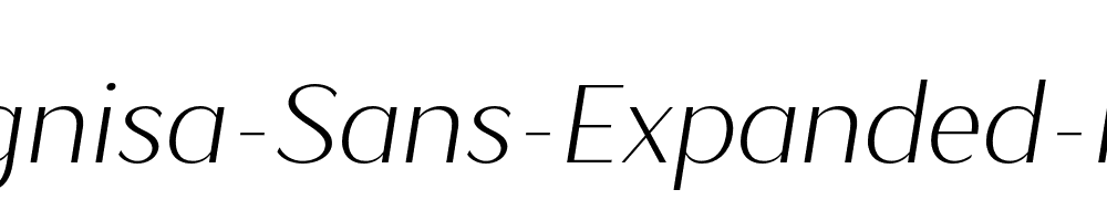 Magnisa-Sans-Expanded-Italic