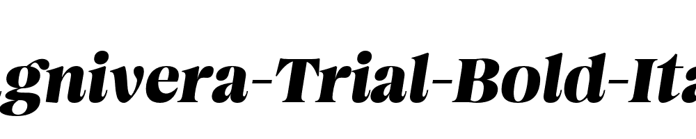 Magnivera-Trial-Bold-Italic