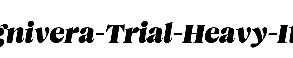 Magnivera-Trial-Heavy-Italic