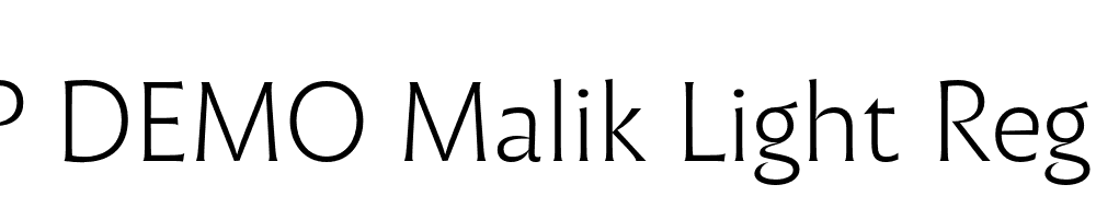 FSP DEMO Malik Light Regular