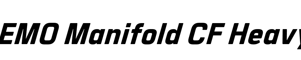 FSP DEMO Manifold CF Heavy Italic