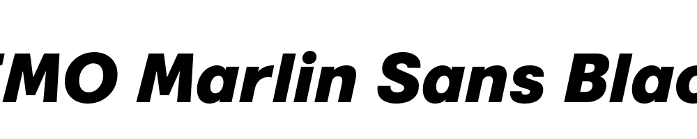 FSP DEMO Marlin Sans Black Italic