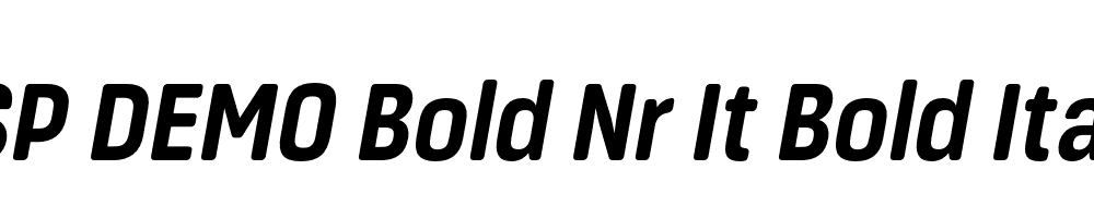 FSP DEMO Bold Nr It Bold Italic