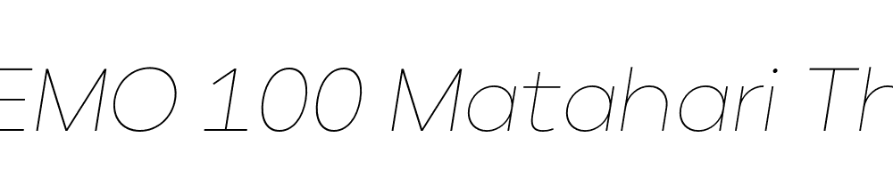 FSP DEMO 100 Matahari Thin Italic