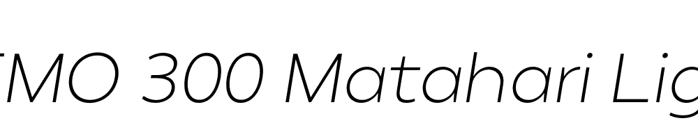 FSP DEMO 300 Matahari Light Italic