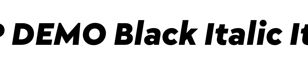 FSP DEMO Black Italic Italic