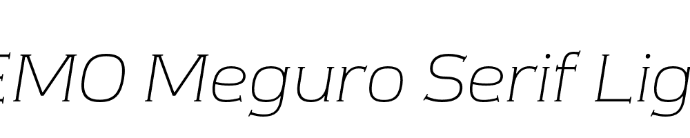 FSP DEMO Meguro Serif Light Italic