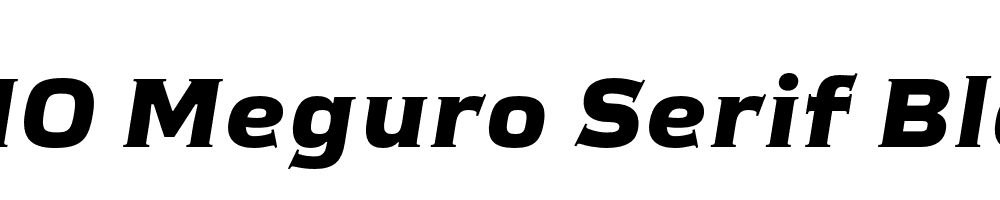 FSP DEMO Meguro Serif Black Italic