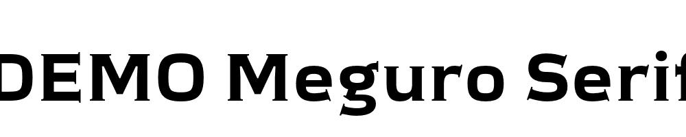 FSP DEMO Meguro Serif Bold